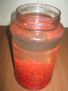 spirit and berries in the jar