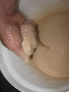 yeast preparation